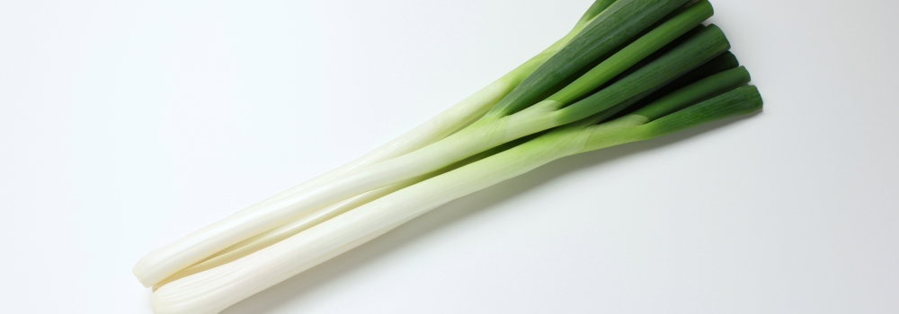 大地のめぐみの長ねぎ