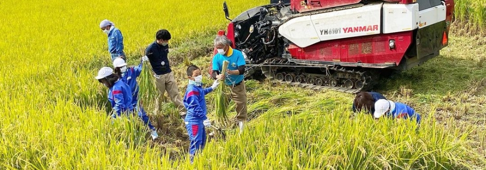 大地のめぐみでは、学生や若手の方が職業準備をするために貴重な体験ができるようにと、インターンシップの取り組みを行っています。