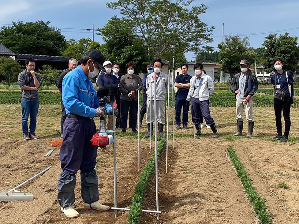 山梨からからのインターンシップ生