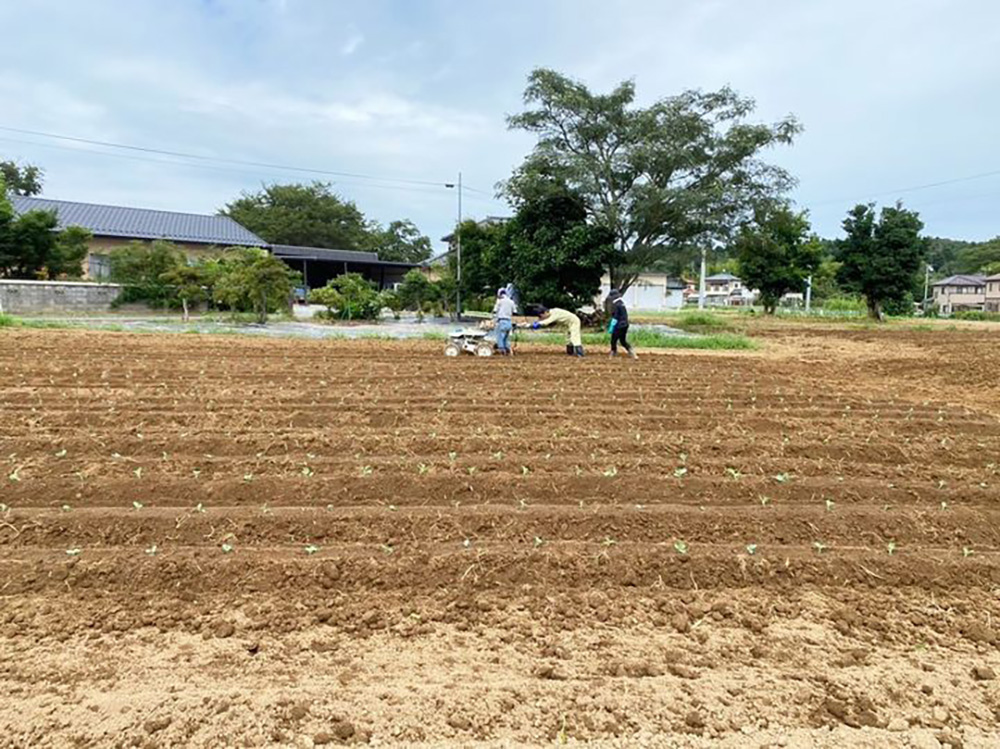 土日はしっかり休める